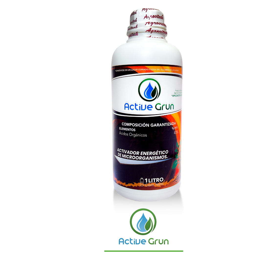 active grun active grun