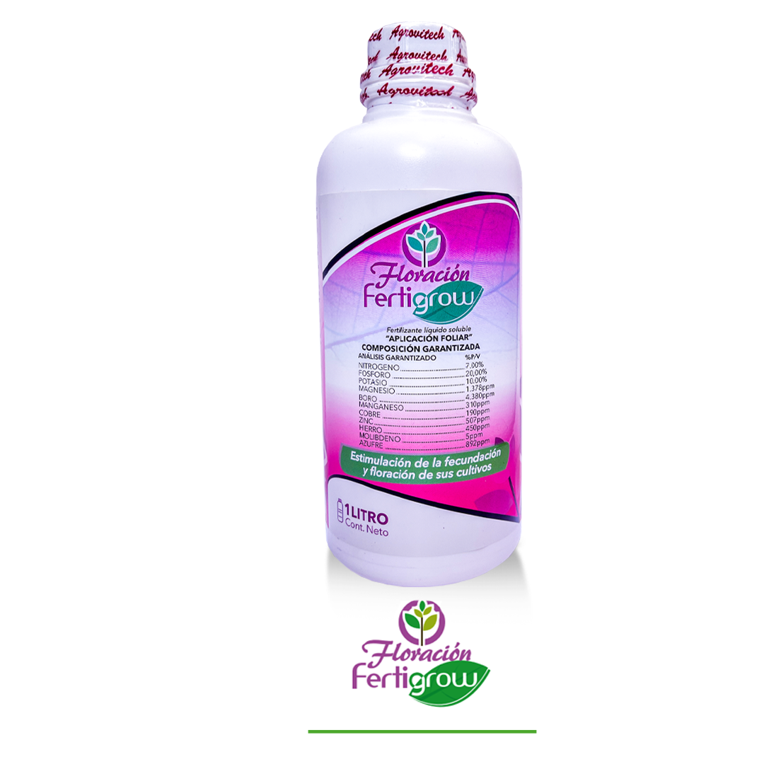 floración floración