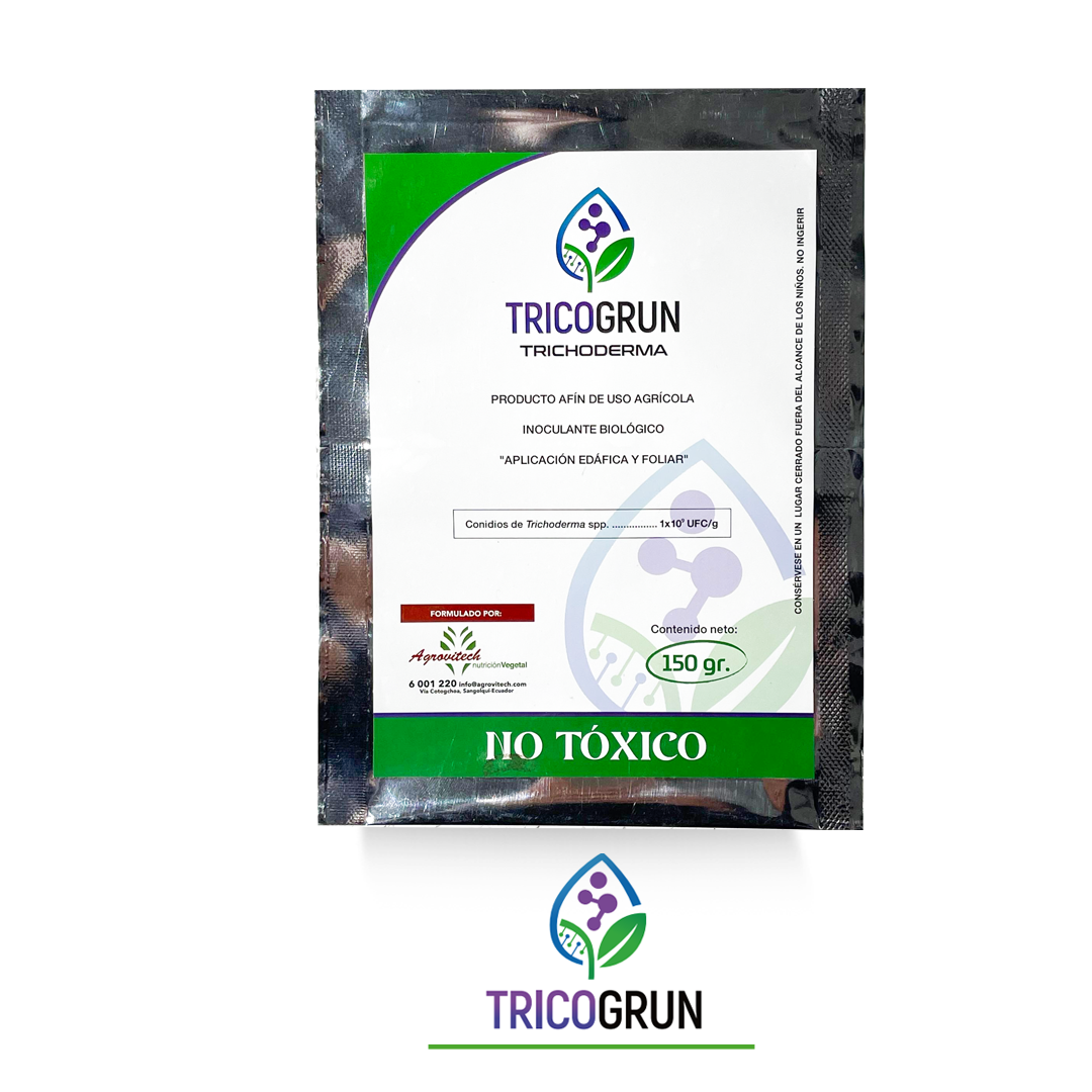 inicio enraizante inicio enraizante